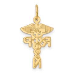 10k Registered Nurse Practitioner Charm