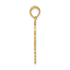 10k Caduceus w/Nurses Cap Pendant