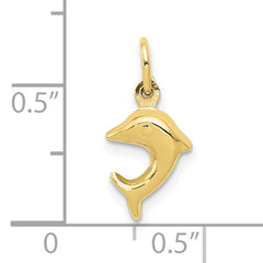 10k Dolphin Charm