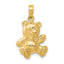 Teddy Bear Pendant in 10K Yellow Gold, 25mm Textured - Sophia Jewelers