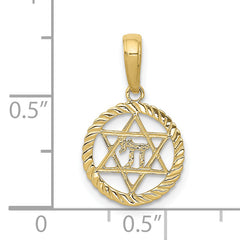 10K Star Of David And Chai In Circle Pendant