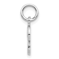 10KW Initial P Charm