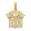 Registered Nurse Rn Charm in 10K Yellow Gold, 17mm - Sophia Jewelers