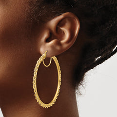 10k Polished and D/C Rope 2.95mm Hoop Earrings