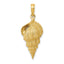 Conch Shell Pendant in 10K Yellow Gold, 30mm - Sophia Jewelers