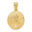 Sand Dollar Charm in 10K Yellow Gold, 18x19mm - Sophia Jewelers