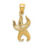 Starfish Charm in 10K Yellow Gold, 24mm Textured - Sophia Jewelers