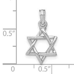 10K White Gold 3-D Polished Star Of David Charm
