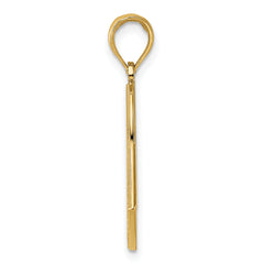 10k w/ Rhodium American Flag Charm