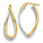 10K Two-tone Polished Fancy Earrings