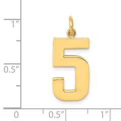 10k Large Polished Number 5 Charm