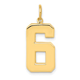 10k Large Polished Number 6 Charm