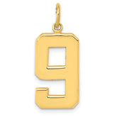 10k Large Polished Number 9 Charm
