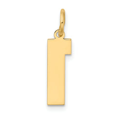 10k Medium Satin Number 1 Charm