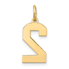 10k Medium Satin Number 2 Charm
