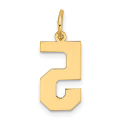 10k Medium Satin Number 5 Charm