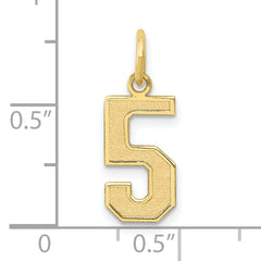10k Medium Satin Number 5 Charm