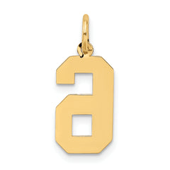 10k Medium Satin Number 6 Charm