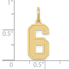 10k Medium Satin Number 6 Charm