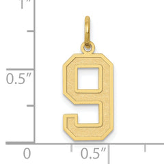 10k Medium Satin Number 9 Charm