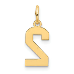 10k Small Satin Number 2 Charm