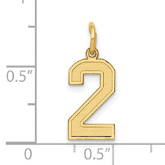 10k Small Satin Number 2 Charm