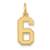 10k Small Satin Number 6 Charm