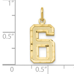 10ky Casted Medium Diamond-cut Number 6 Charm
