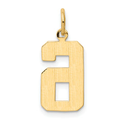 10k Medium Polished Number 6 Charm