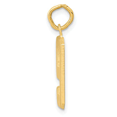 10k Medium Polished Number 9 Charm