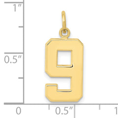 10k Medium Polished Number 9 Charm
