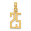 10K Number 25 Pendant