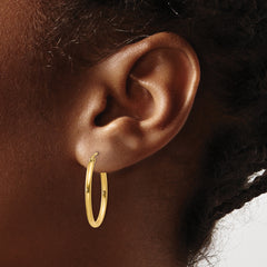10k Oval Polished Hoop Earring
