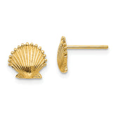 10K Scallop Shell Post Earrings