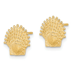 10K Beaded Scallop Shell Post Earrings