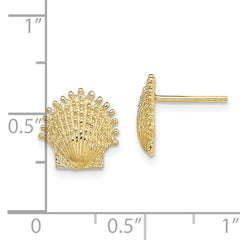 10K Beaded Scallop Shell Post Earrings