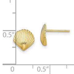 10K Scallop Shell Post Earrings