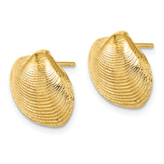 10K Clam Shell Post Earrings