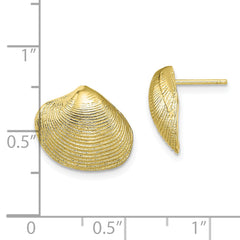10K Clam Shell Post Earrings