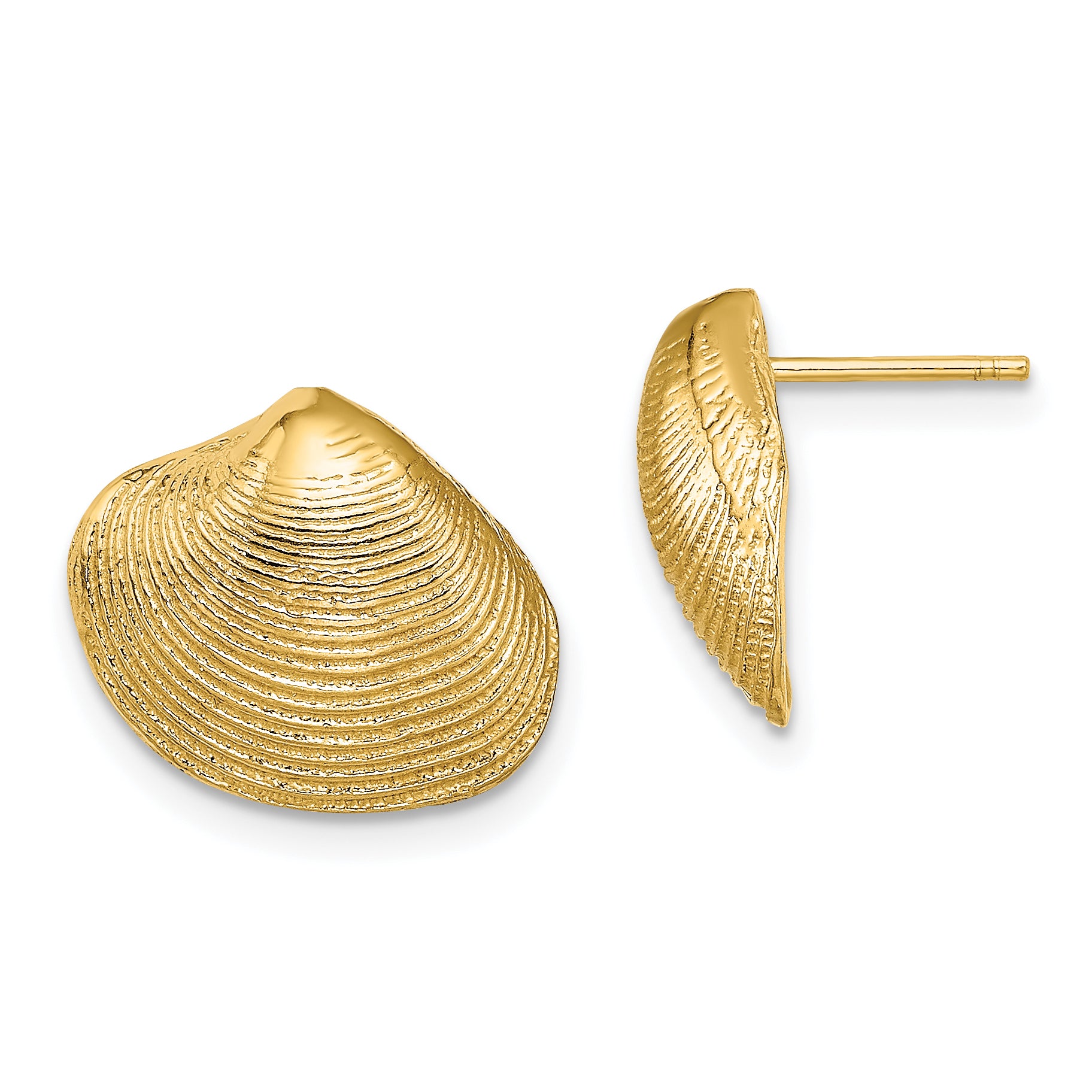 10K Clam Shell Post Earrings