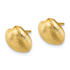 10K Clam Shell Post Earrings