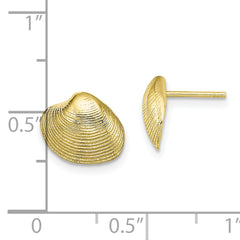 10K Clam Shell Post Earrings