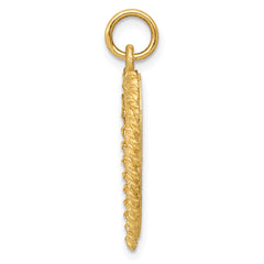 10KY Happy 50th Anniversary Charm