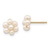 10k 2-3mm White Egg Freshwater Cultured Pearl Flower Post Earrings