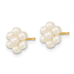 10k 2-3mm White Button Freshwater Cultured Pearl Flower Post Earrings