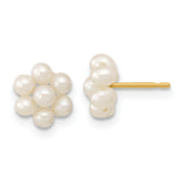 10k 2-3mm White Button Freshwater Cultured Pearl Flower Post Earrings