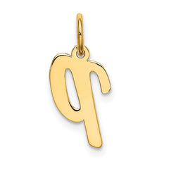 10k Small Script Initial P Charm