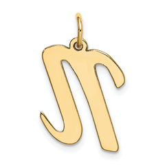 10k Large Script Letter N Initial Charm