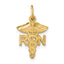 10k Nurse Charm