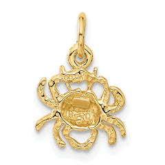 10k Cancer Zodiac Charm